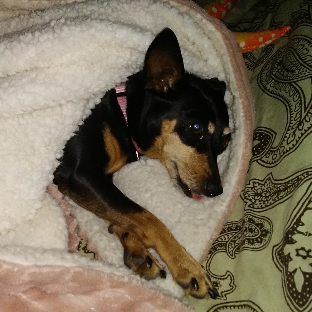 Meet your Posher, Melissa